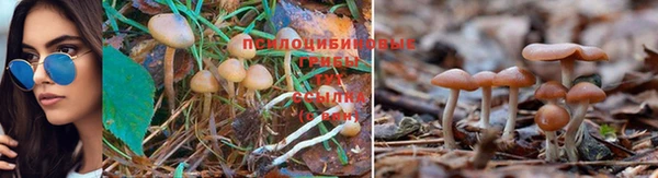 таблы Алзамай