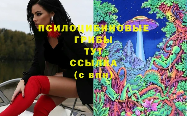таблы Алзамай