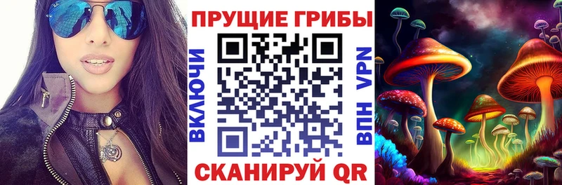 Галлюциногенные грибы Psilocybe  где купить наркоту  hydra онион  Нестеров 